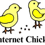 Understanding Internet Chicks