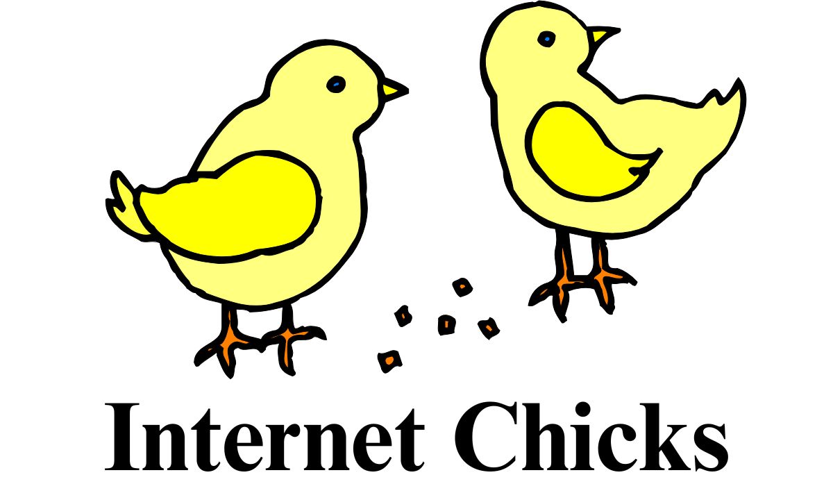 Understanding Internet Chicks