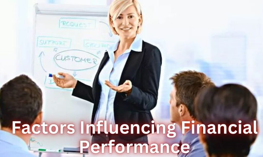 Factors Influencing Financial Performance