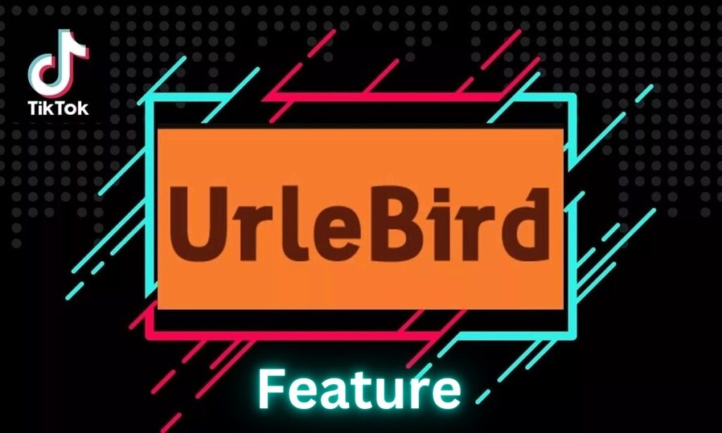 Primary Features of Urlebird